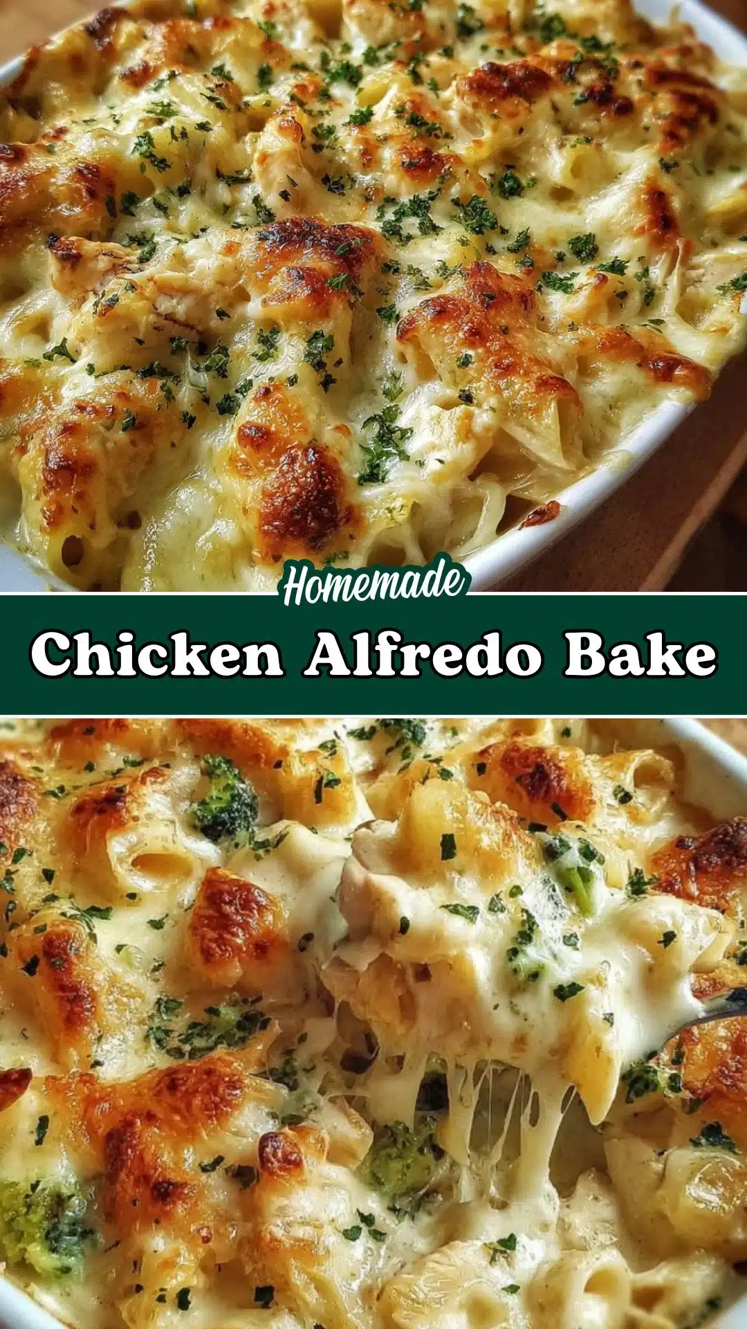 Chicken Alfredo Bake